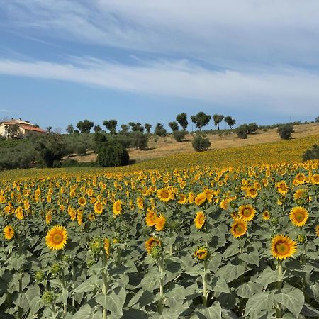 Girasole Apartment San Marcello  ภายนอก รูปภาพ