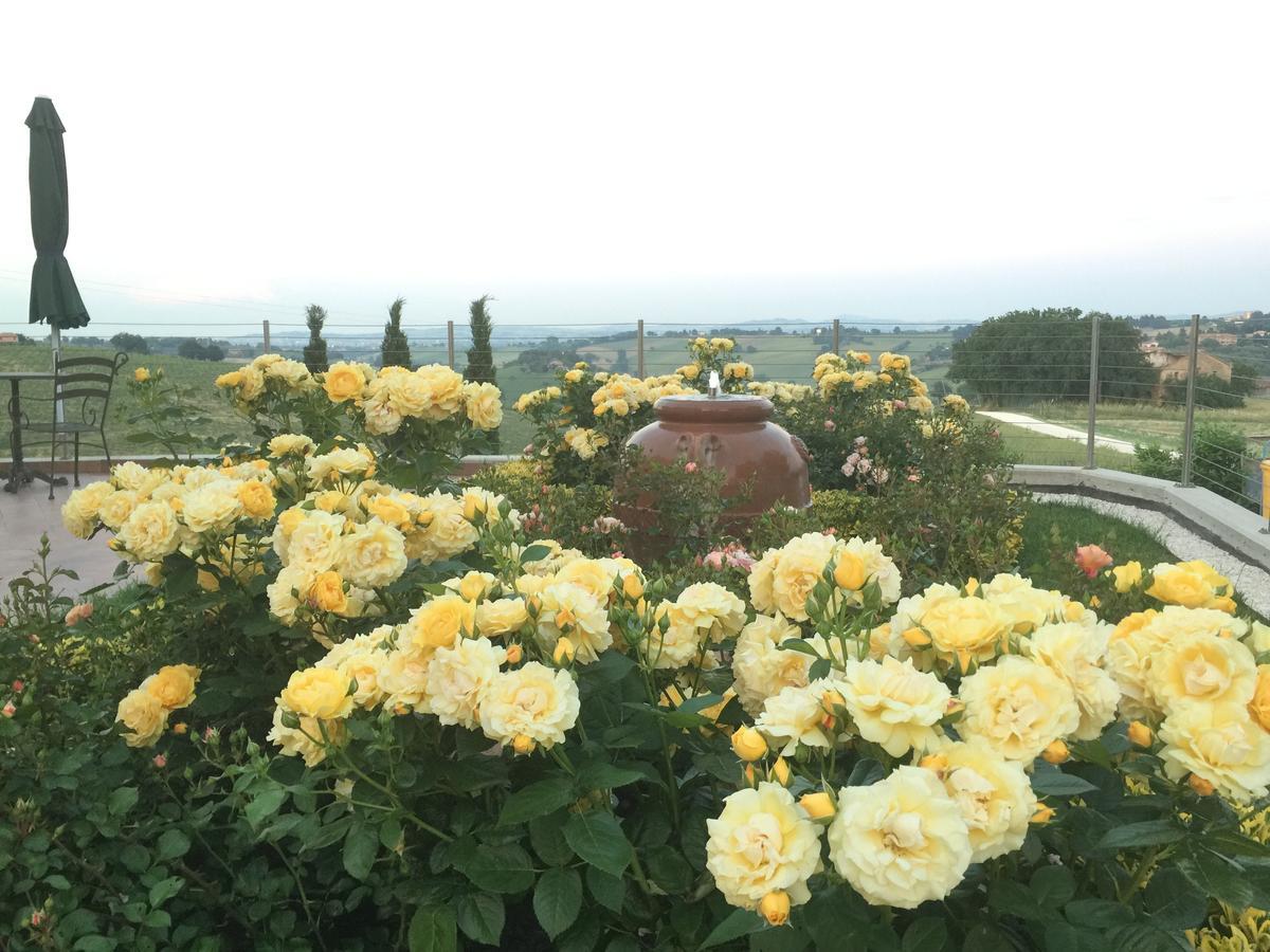 Girasole Apartment San Marcello  ภายนอก รูปภาพ